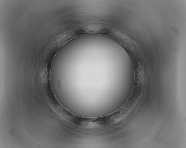 X0000110900498200906181325