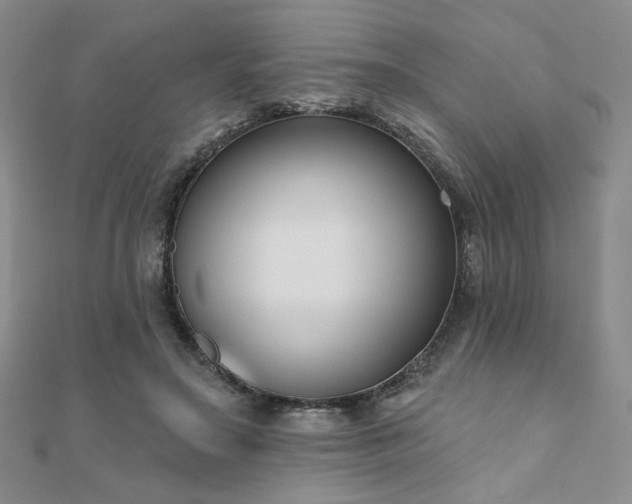 X0000110900499200906181325