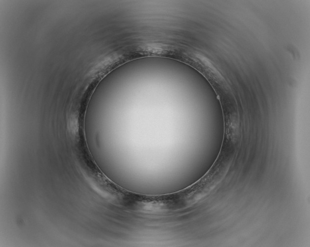 X0000110900500200906181325