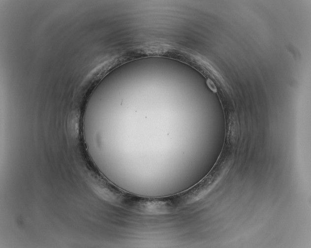 X0000110900501200906181325