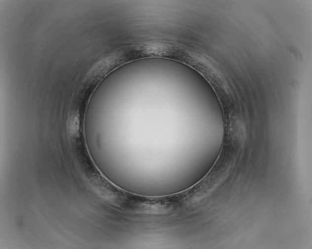 X0000110900502200906181325