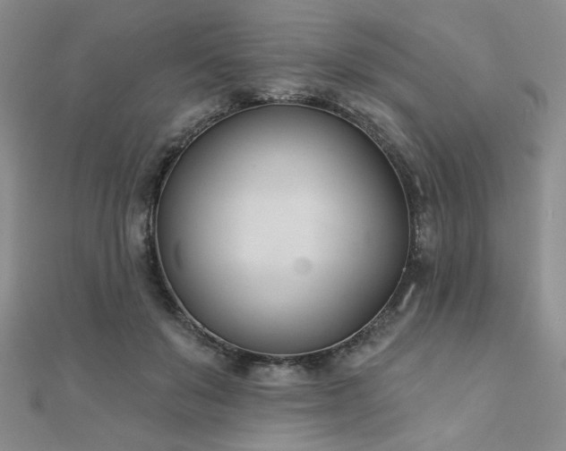 X0000110900503200906181325