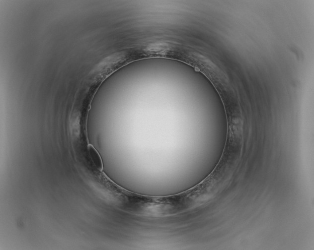 X0000110900504200906181325