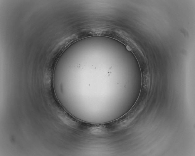X0000110900505200906181325
