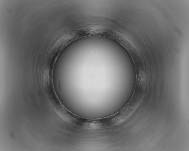 X0000110900506200906181325