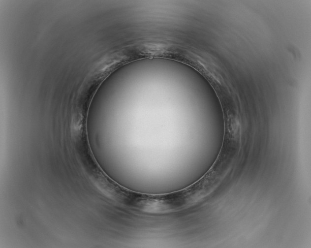 X0000110900507200906181325