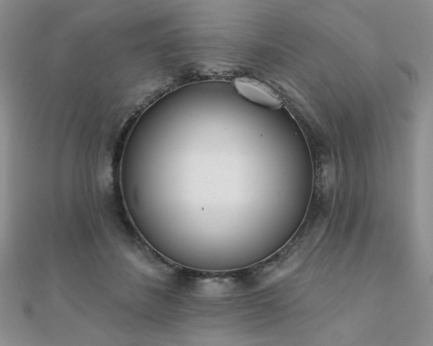 X0000110900508200906181325