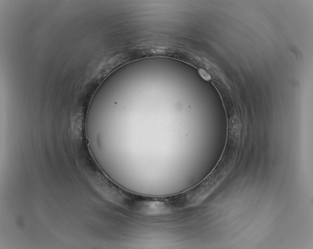 X0000110900509200906181325