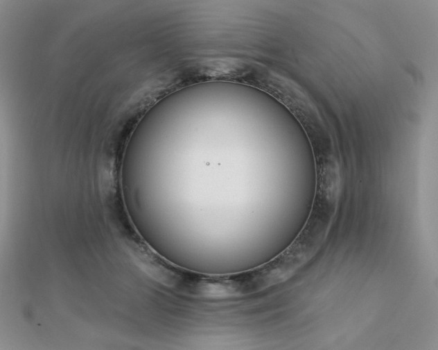 X0000110900510200906181325