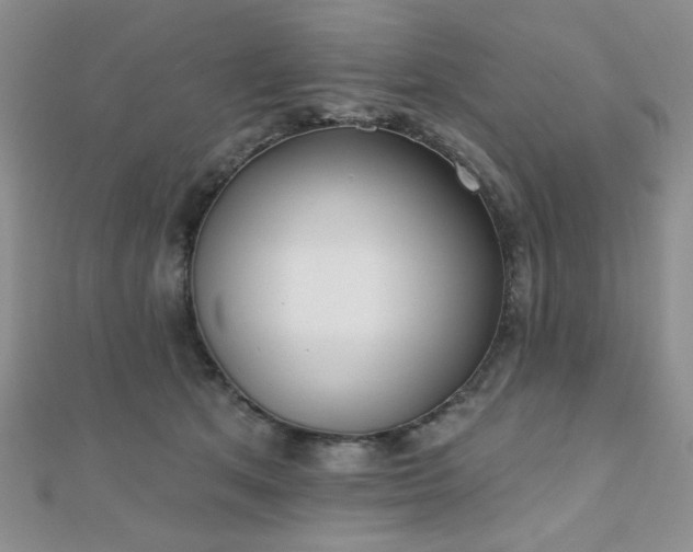 X0000110900513200906181325