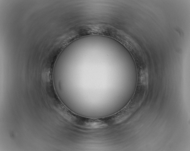 X0000110900514200906181325