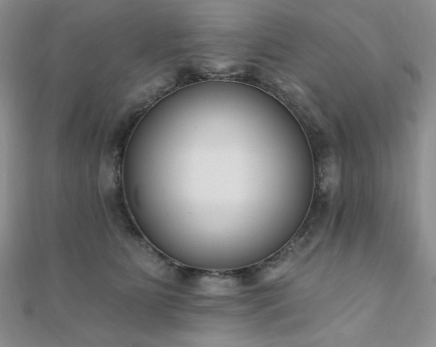 X0000110900515200906181325