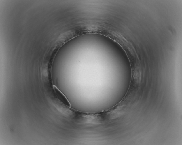 X0000110900516200906181325