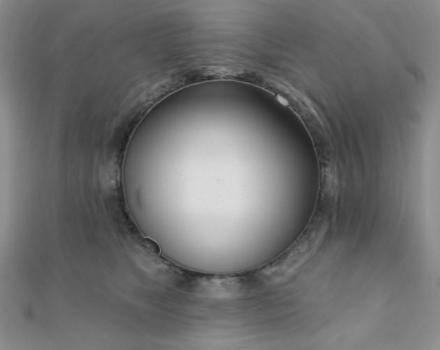 X0000110900517200906181325