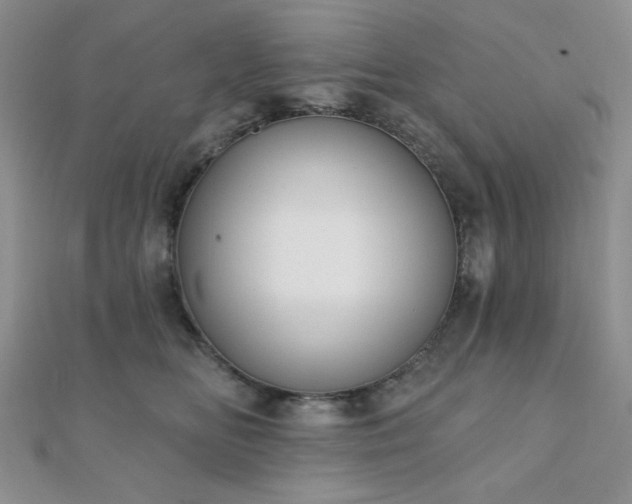 X0000110900518200906181325