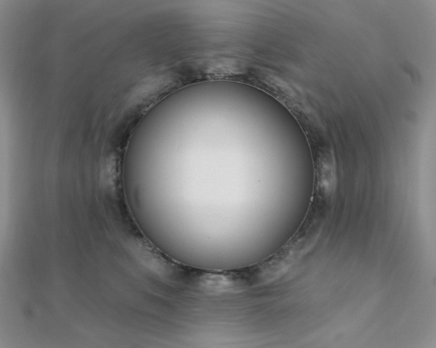 X0000110900519200906181325