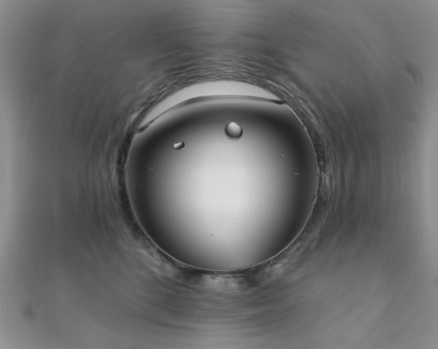 X0000110900520200906181325