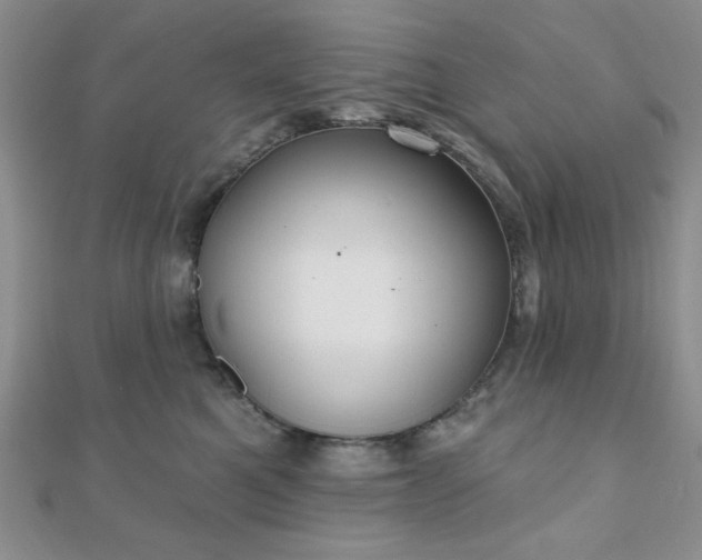 X0000110900521200906181325