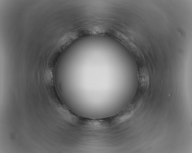 X0000110900523200906181325