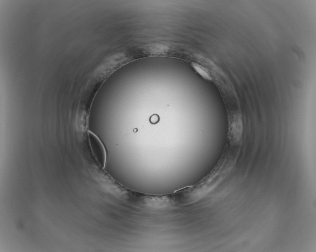 X0000110900525200906181325