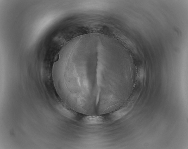 X0000110900526200906181325