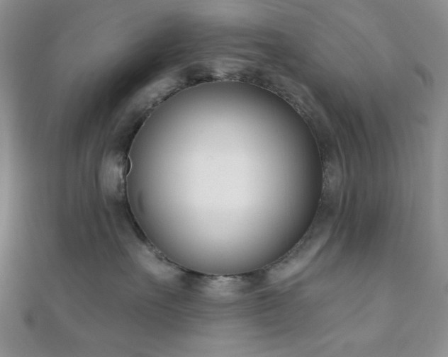X0000110900527200906181325