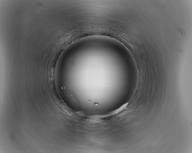 X0000110900528200906181325