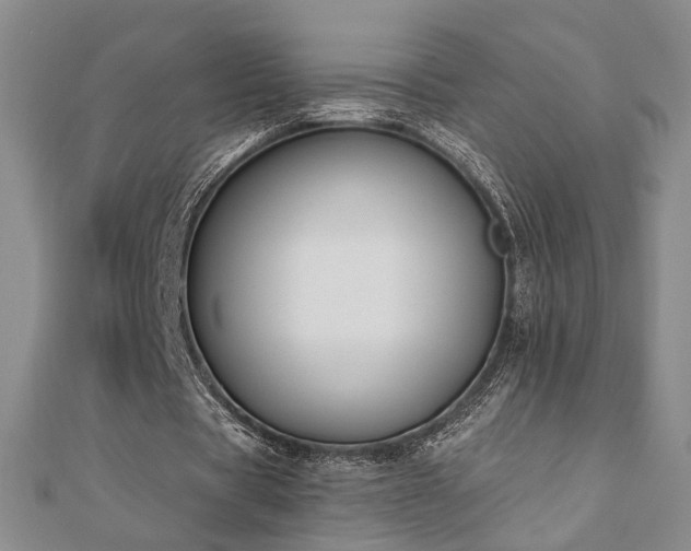 X0000110900529200906181324
