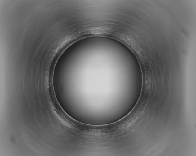 X0000110900530200906181324