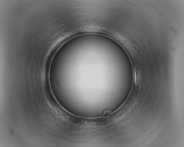 X0000110900531200906181324