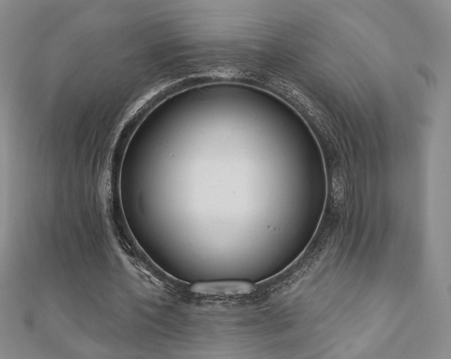 X0000110900532200906181324