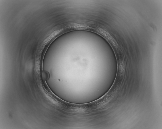 X0000110900533200906181324