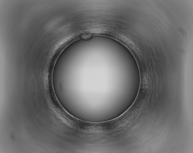 X0000110900535200906181324