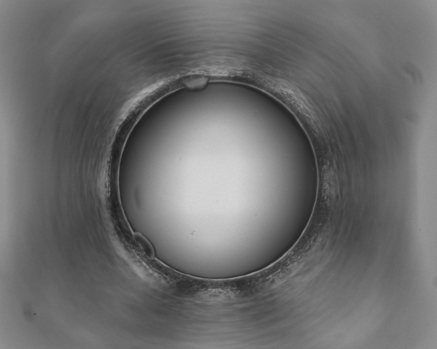 X0000110900536200906181324