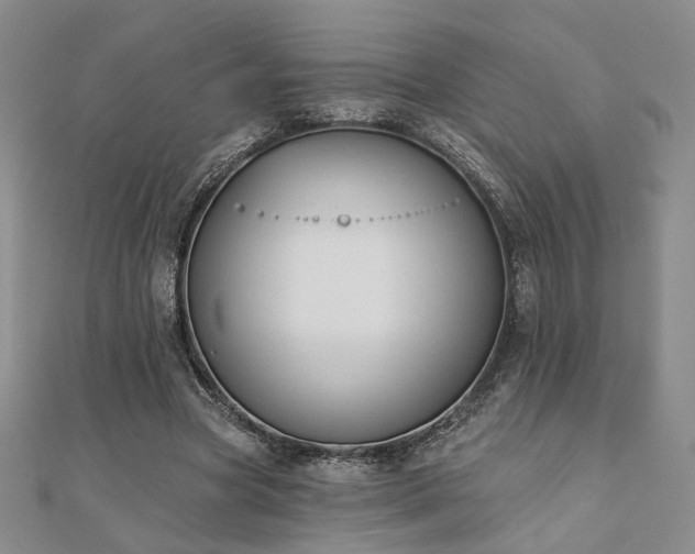 X0000110900537200906181324