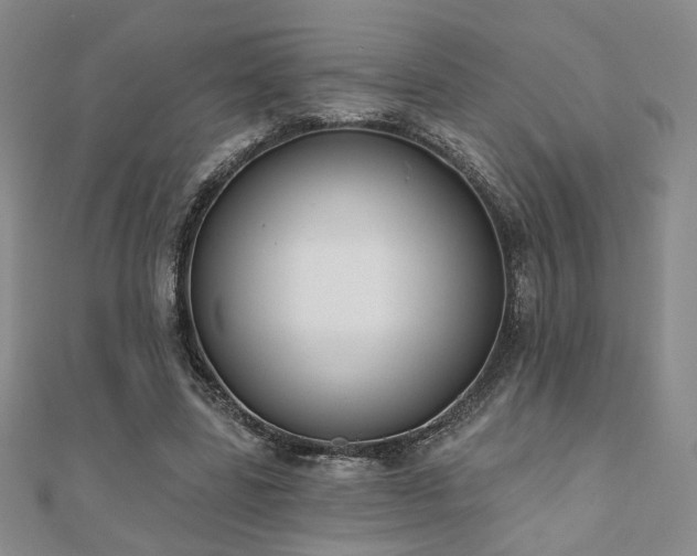 X0000110900539200906181324