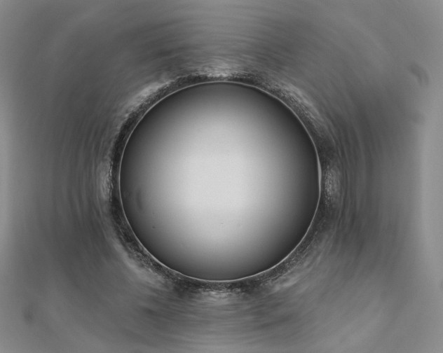X0000110900540200906181324