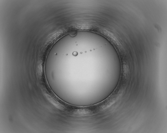 X0000110900541200906181324