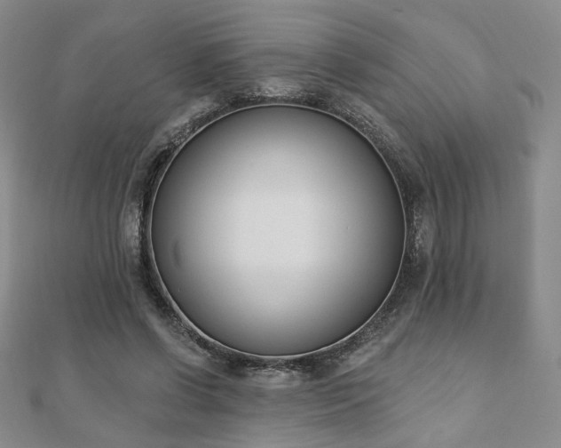 X0000110900542200906181324
