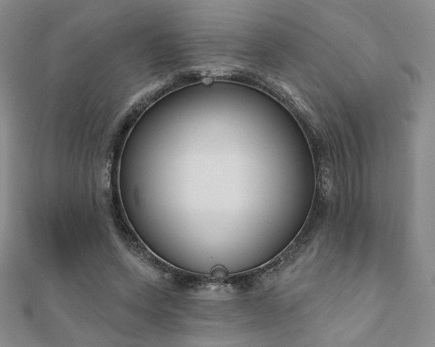 X0000110900543200906181324