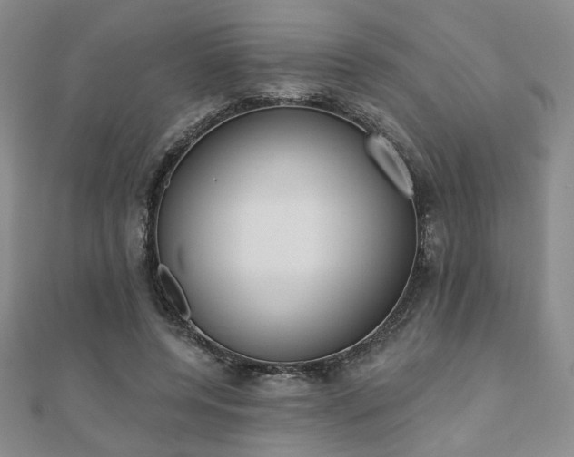 X0000110900544200906181324