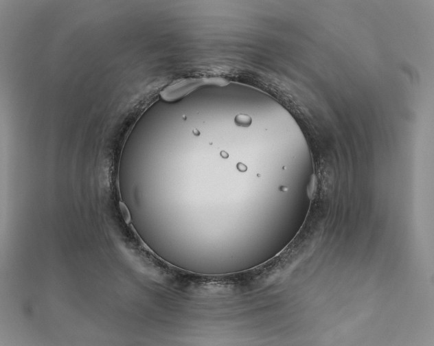 X0000110900546200906181325