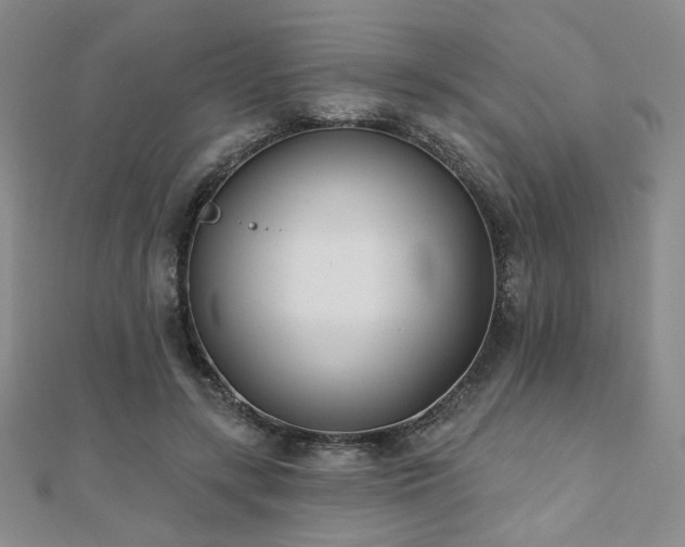 X0000110900547200906181325