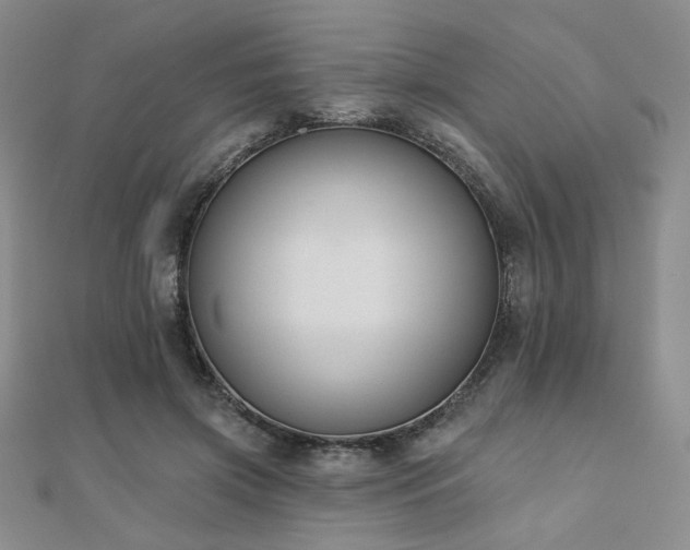 X0000110900549200906181325