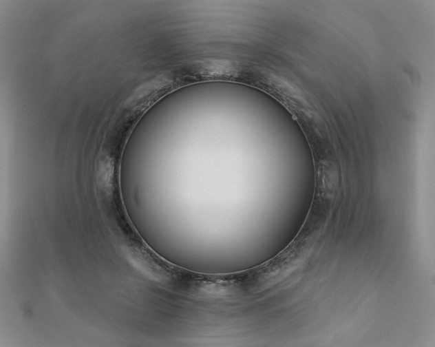 X0000110900550200906181325