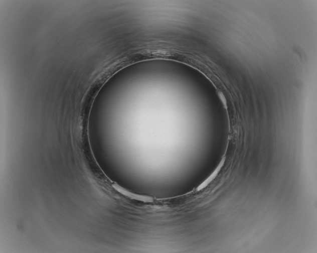 X0000110900552200906181325