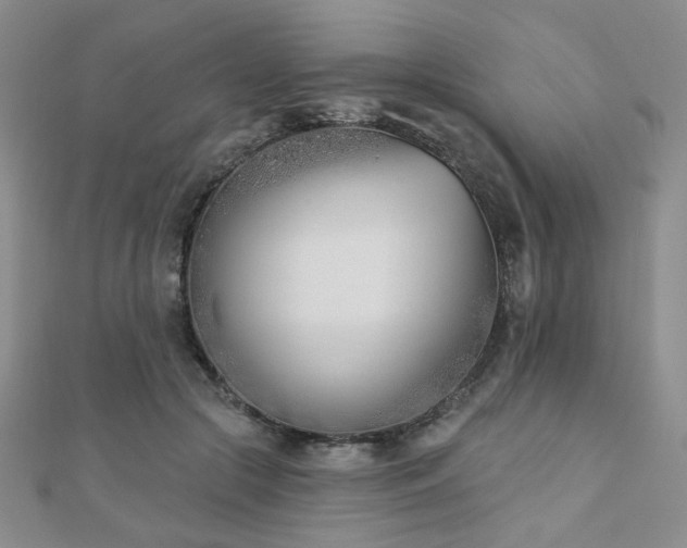 X0000110900553200906181325