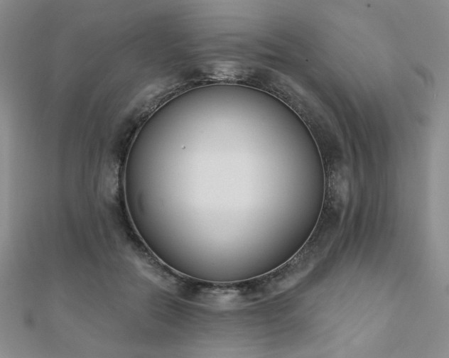 X0000110900554200906181325