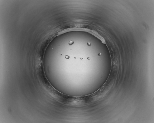 X0000110900555200906181325