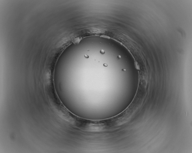 X0000110900556200906181325